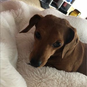 Meet your Posher, Haley